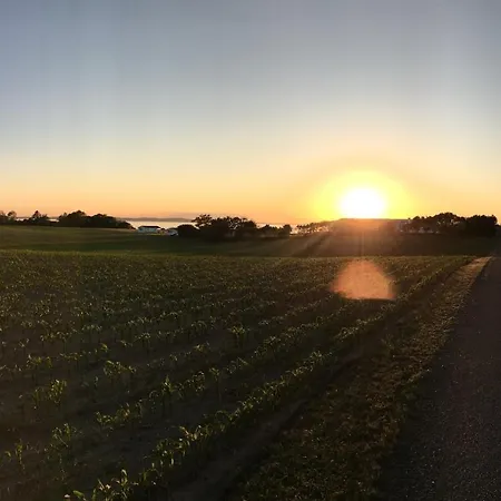 Apartment Sct Knudsborg - 12E - Apartment On The Beach *